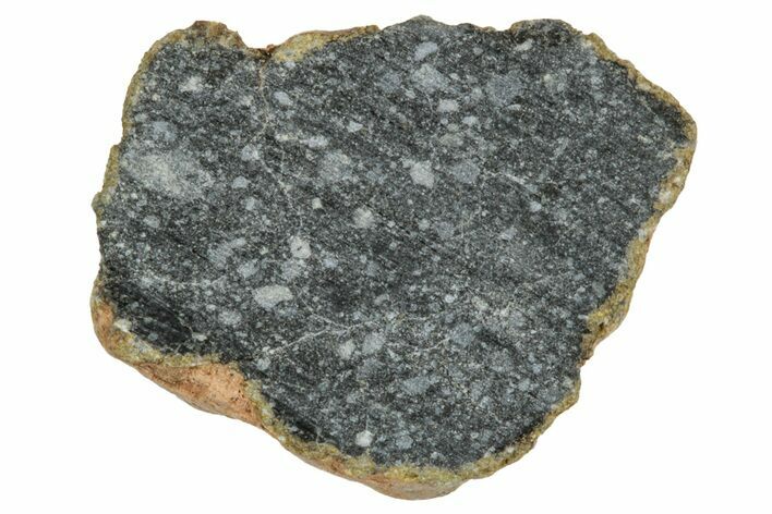 Polished Lunar Meteorite ( g) End Cut Slice - NWA #333149
